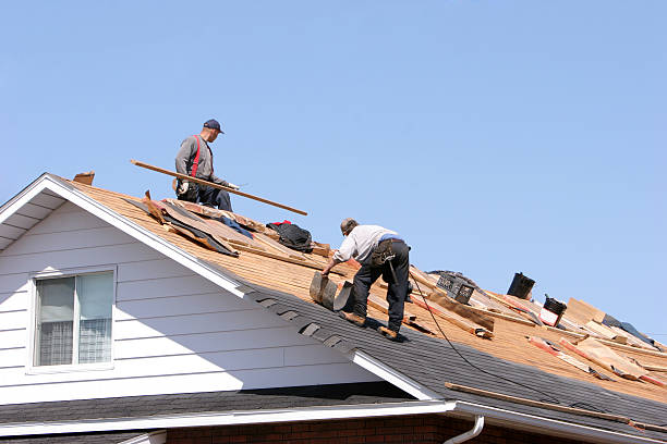 Best Roof Ventilation Installation  in Lisbon Falls, ME